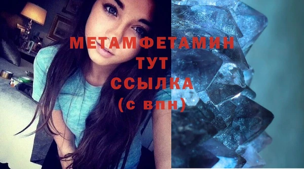 спиды Богданович