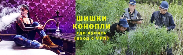 спиды Богданович