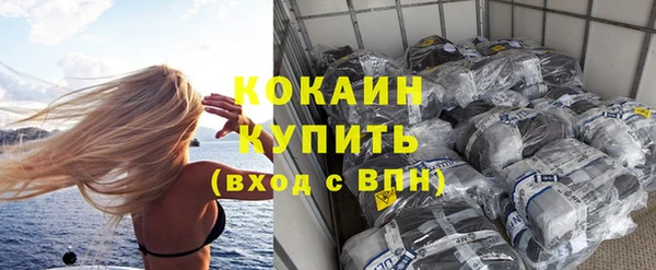 спиды Богданович