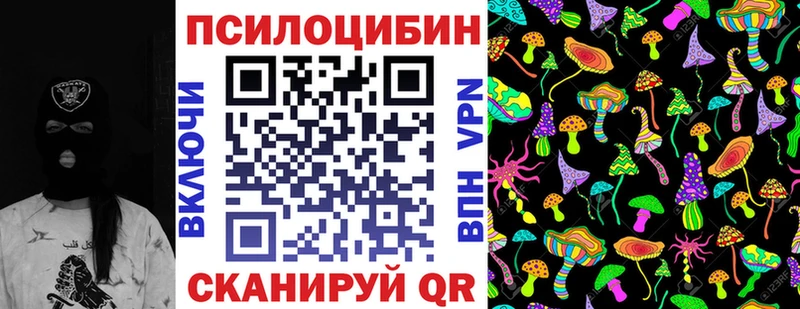 Купить где  Сасово  Псилоцибиновые грибы Magic Shrooms 